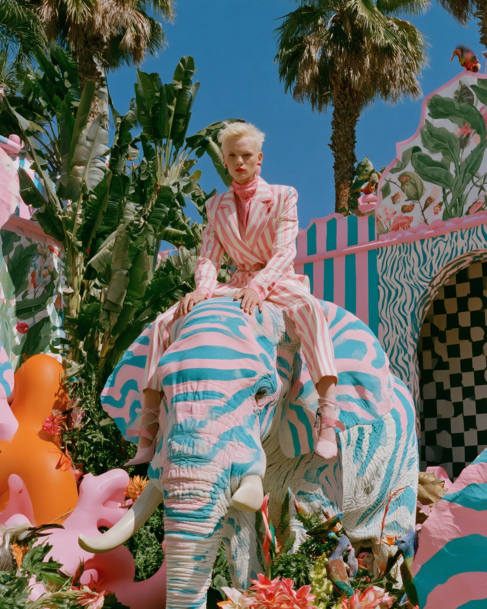 TROPICAL FEVER